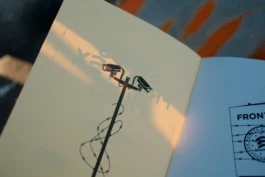  graphic design grafik